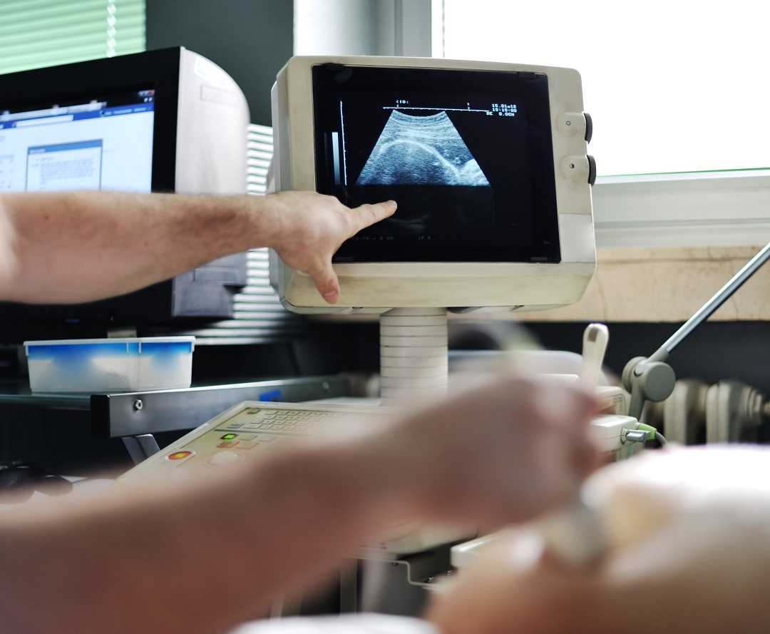 /domains/goldcareunidadmedicaintegral.com/pictures/66d854b2ac984.jpeg